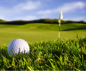 a white-golf-ball in a golf-field